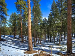 4 Iowa Gulch Rd #4, Morrison, CO 80465