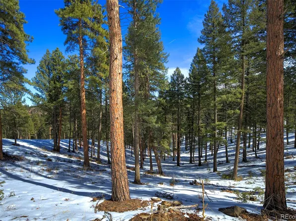 TBD 4 Iowa Gulch Road LOT 4, Morrison, CO 80465