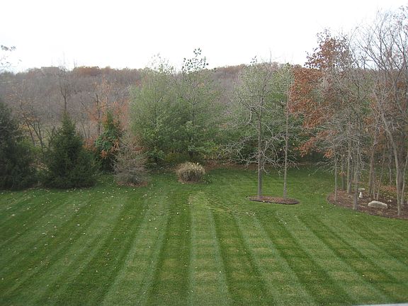 Private wooded lot