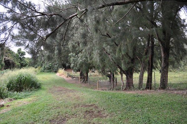 1st image of Kapaau Rd Lot 6