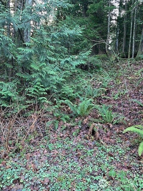 1st image of 283 xx SE 146th Street