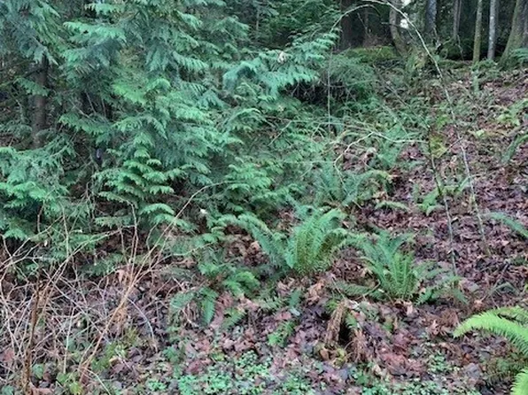 283 xx SE 146th Street, Issaquah, WA 98027