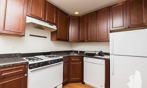 1249 W Henderson St #33251 — Photo 6