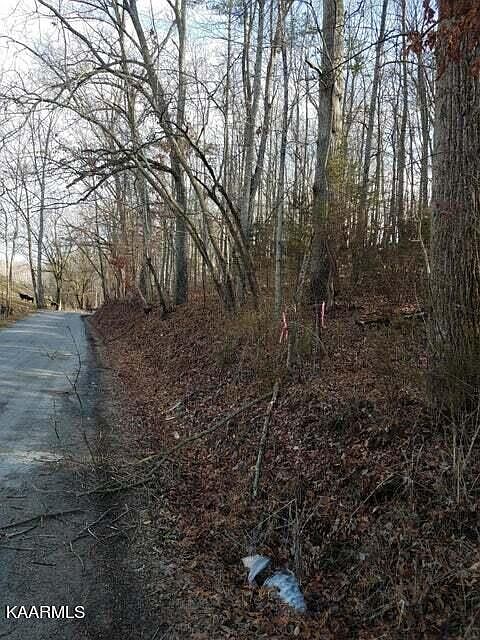 Old Cave Springs Rd 1 Tazewell TN 37879 MLS 1230369 Zillow   A3bd4ef8cbc0542ca05b25ed7b941c4c Cc Ft 960 