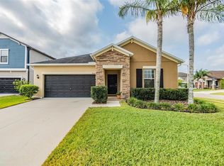 19080 Taviston Dr, Land O Lakes, FL 34638