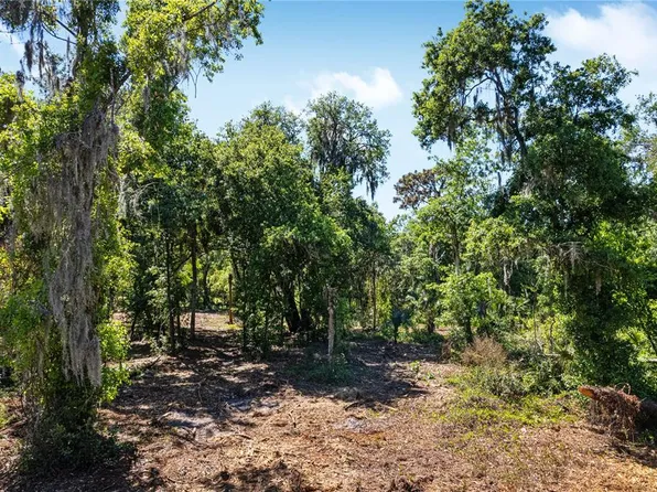 0 S County Road 39 #3, Lithia, FL 33547
