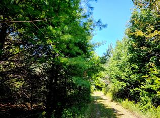 21198 Hutchinson Hwy, Onaway, MI 49765