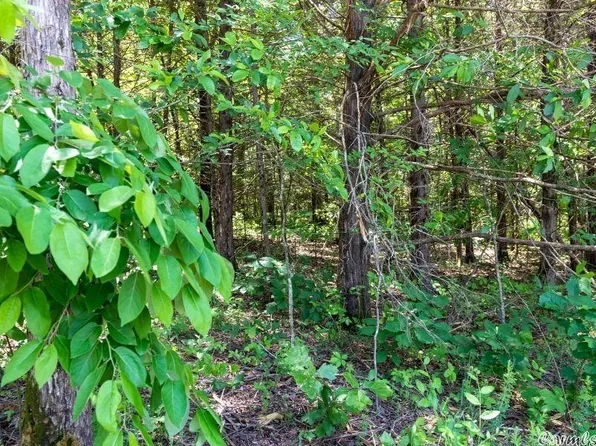 0 Bear Run Ln, Casa, AR 72025