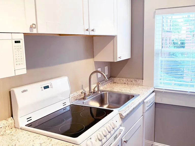 Compact Kitchen with Apartment Sized glass top range, microwave, dishwasher and disposal