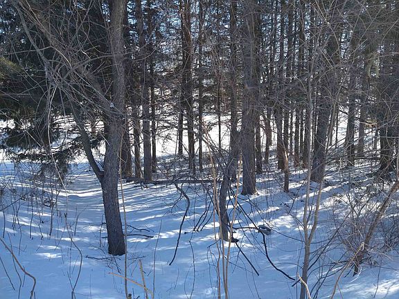 2nd image of LOT 8 Klondike St