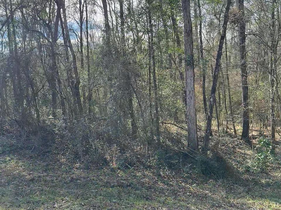 2nd image of 0 Village Loop