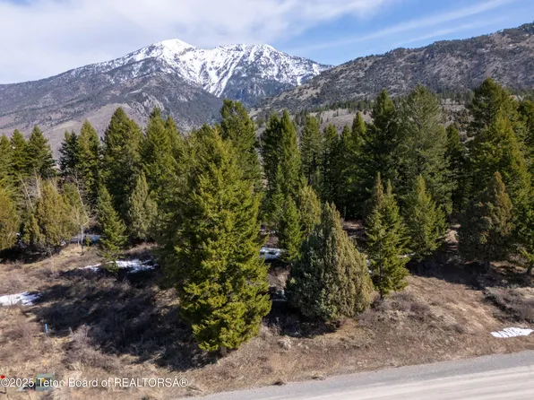 L26 Cutthroat Run, Irwin, ID 83428