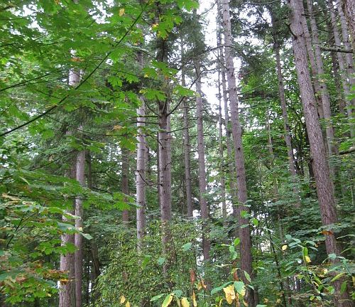 2nd image of 225 S West Camano Dr