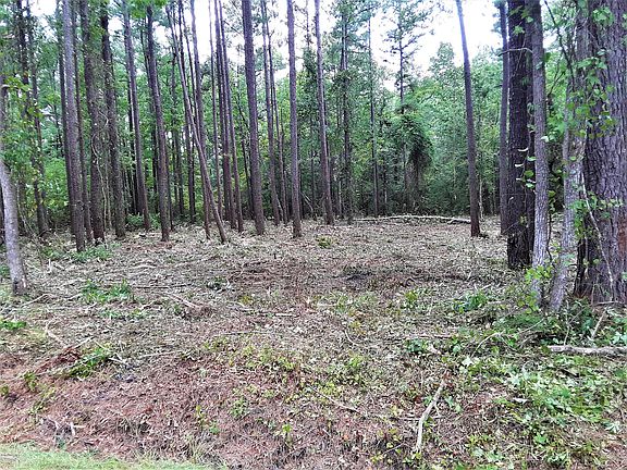 2nd image of Lot 3 Rivenbark Road LOT 3