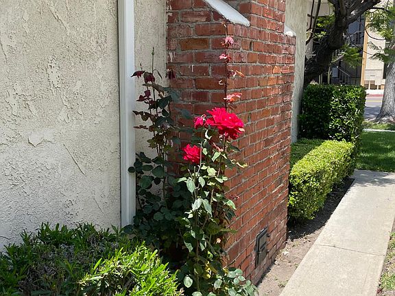 well kept garden