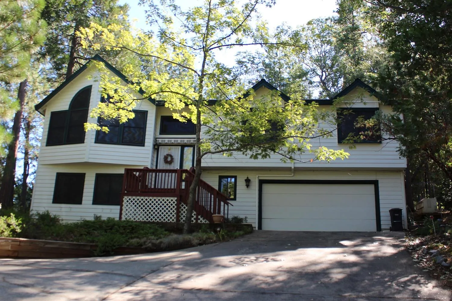 12870 Burnt Cedar Ln photo 1