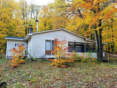 11399 Douglas Lake Rd, Pellston, MI, 49769