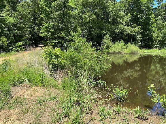 5th image of 20457 County Road 437