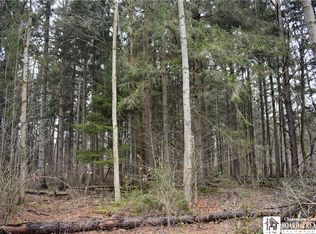 5290 Stockton Hartfield Rd, Stockton, NY 14784