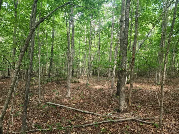 0 Red House Rd Lot 2-1, Appomattox, VA 24522