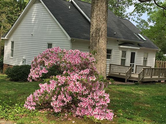 Azalea on Side Lawn