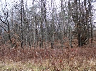 175 Connor Rd, Schenevus, NY 12155