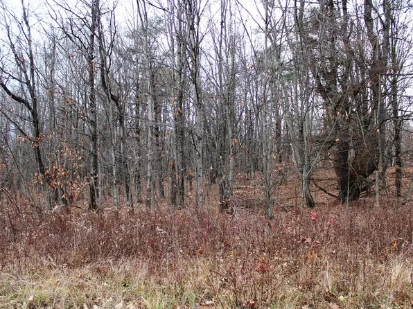 175 Connor Rd, Schenevus, NY 12155