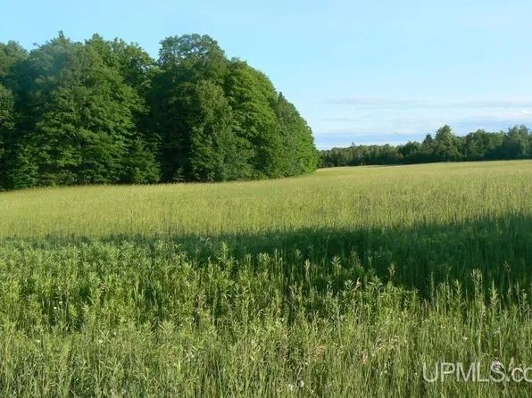 June Rd, Rapid River, MI 49878