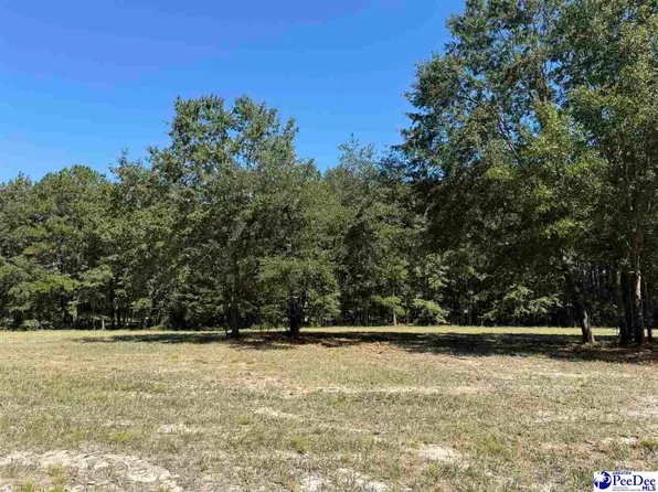 LOT 7 Isaiah Dr, Dillon, SC 29536