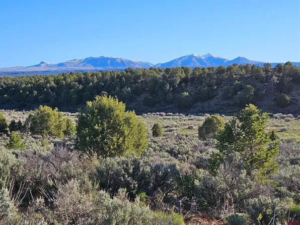 1177 County Road 119A, Hesperus, CO 81326