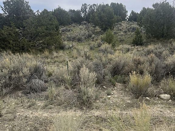 5th image of Lower Lamoille Hog Tommy Rd