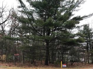 17789 Chippewa Trl, Howard City, MI 49329