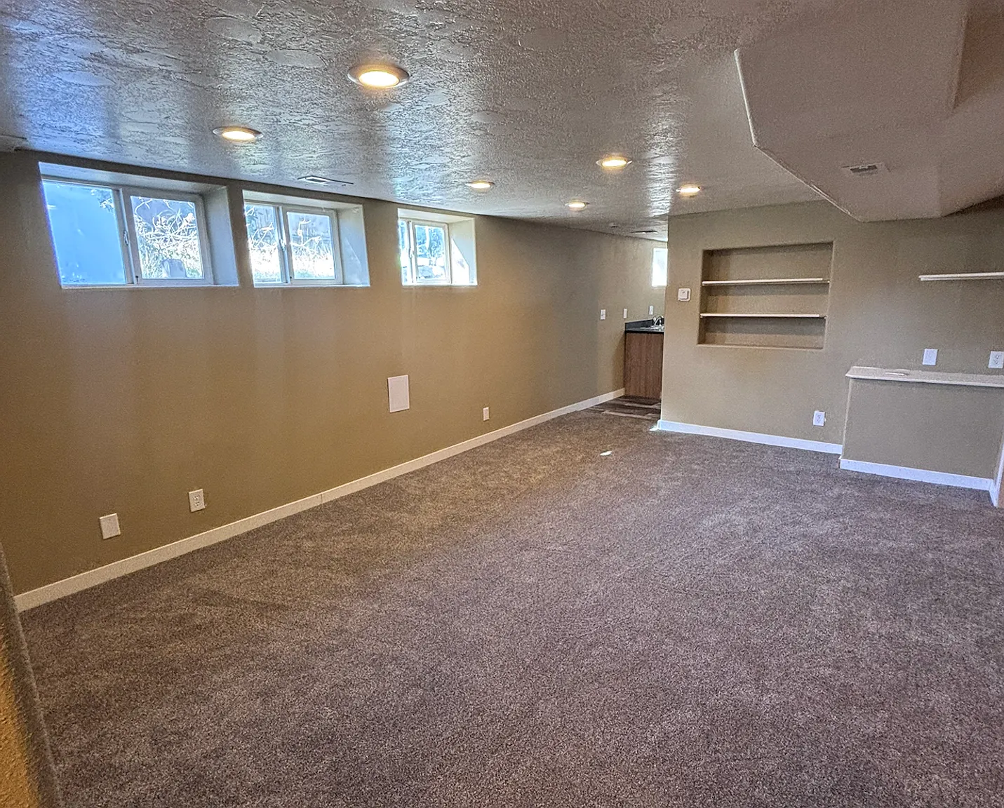 Lower-Level Apartment — Photo 3