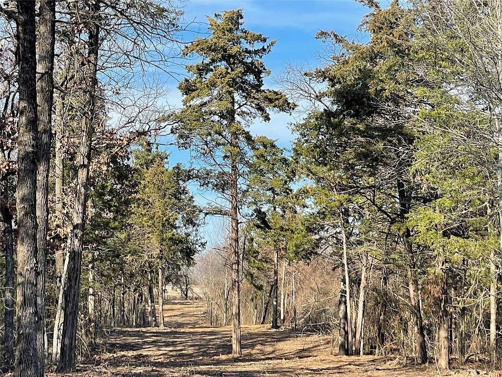 0 County Road 2470, Pickton, TX 75471 MLS 20508268 Zillow