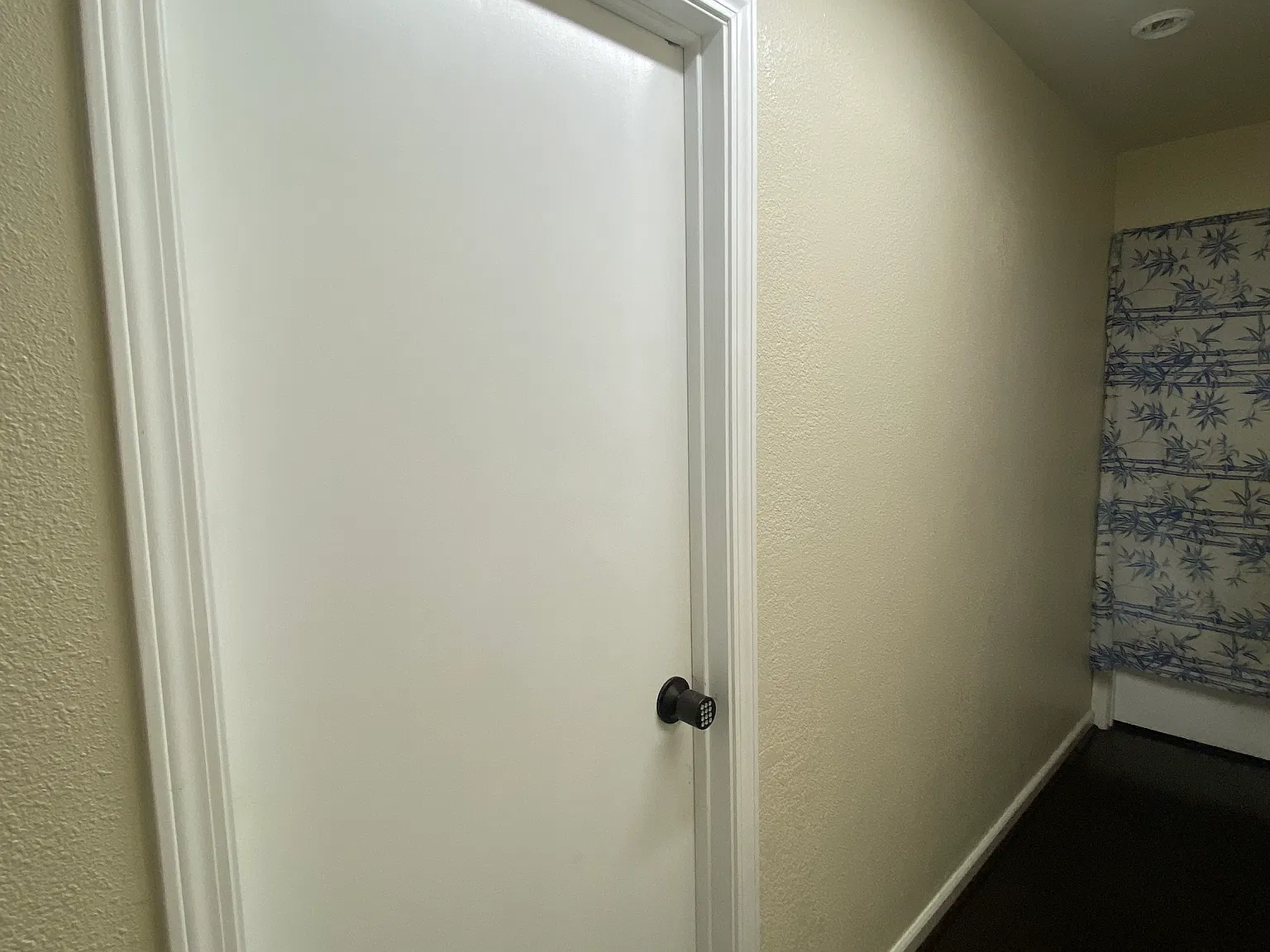 1 bed, 600 sqft, $1,250 — Photo 2