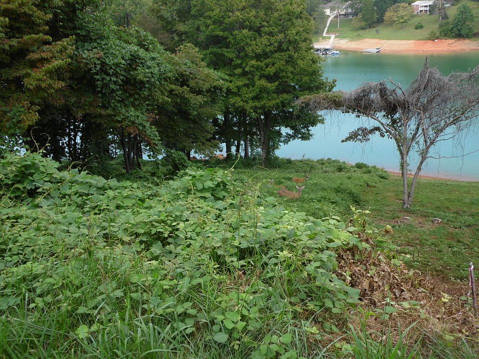 1st image of Lakesprings Dr