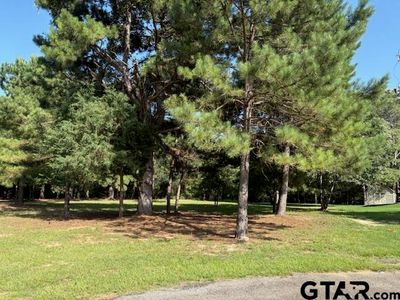 204 Pack Saddle, Hawkins, TX, 75765