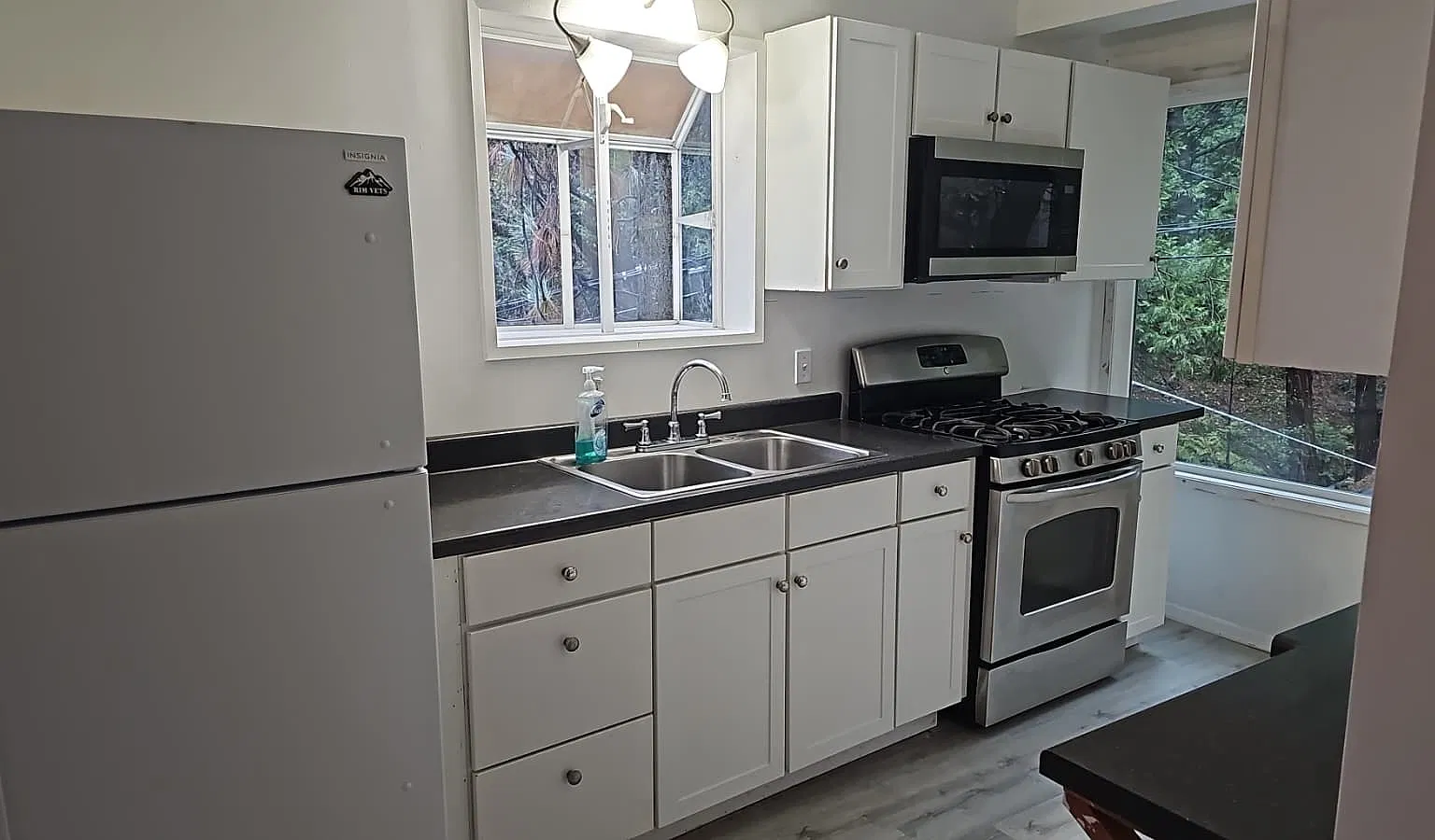 1 bed, 600 sqft, $1,499 — Photo 2