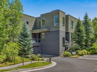 202 Evans Rd UNIT 105, Basalt, CO 81621