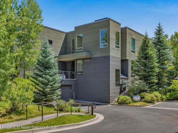 202 Evans Rd Unit 105, Basalt, CO 81621