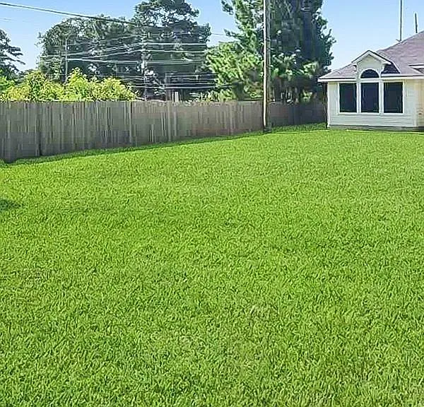 27202 Decker Prairie Rosehill Rd — Photo 27