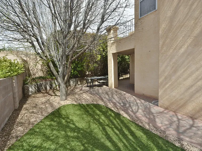 Side/Back yard