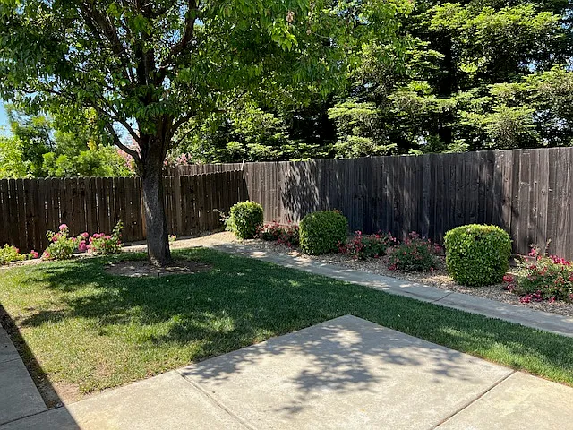 1371 Cassel Ln — Photo 16