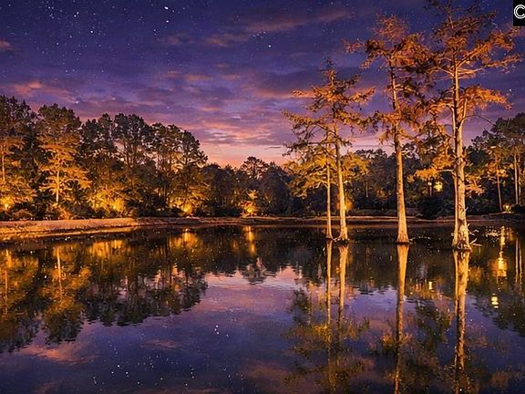 2nd image of 646 Briar Creek Rd