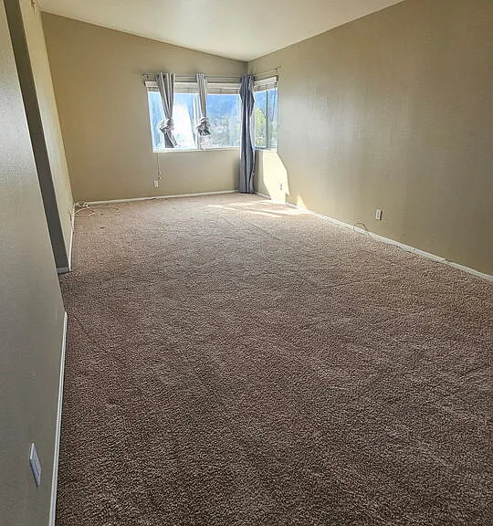 25232 Carson Way — Photo 52