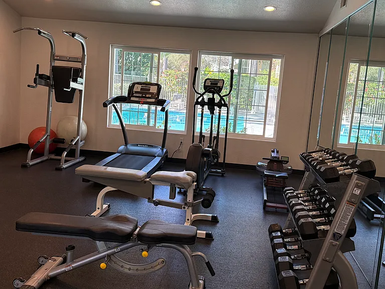Condominium gym.
