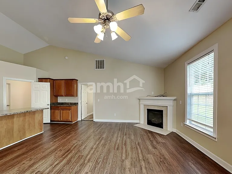 16 Greenbranch Way — Photo 7