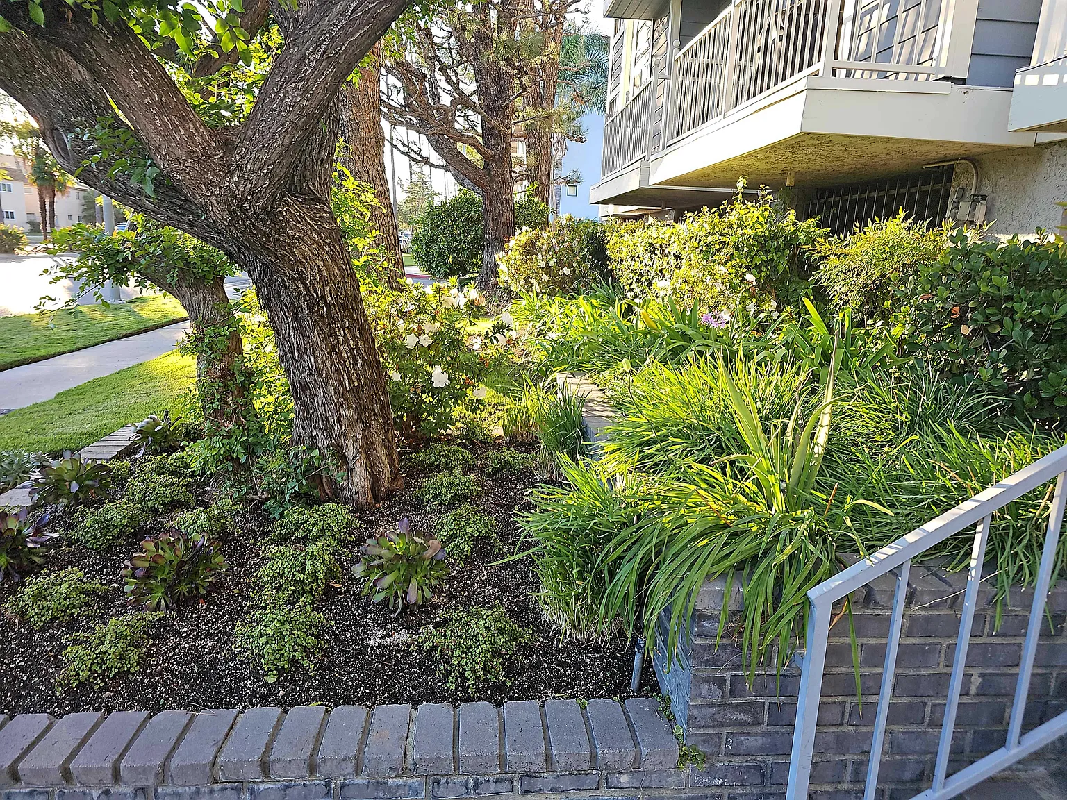 1 bed, $2,095 — Photo 3