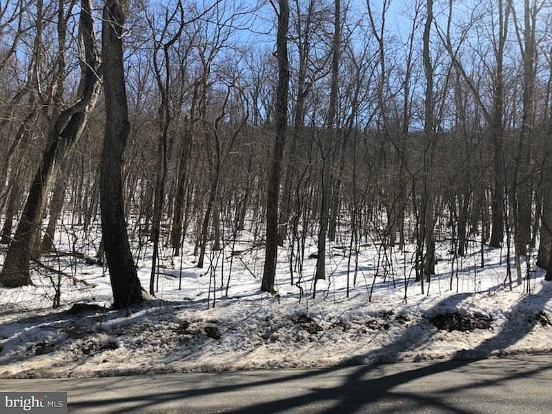 2nd image of Nancy Jack Rd