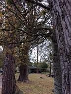 2nd image of 1955 Morehouse Rd